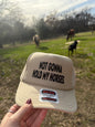 Not gonna hold my horses trucker